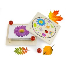 Flower Press Flower Press